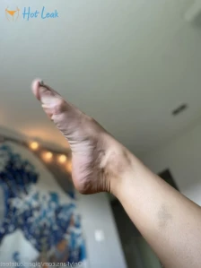 3186287
