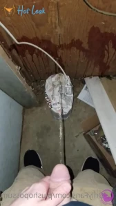 4526837