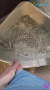 4526847