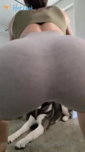 4549917