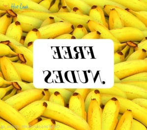 7828576