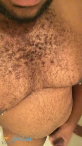 4558608