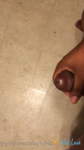 4558617