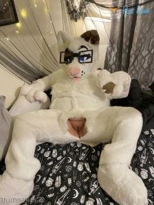 5686554