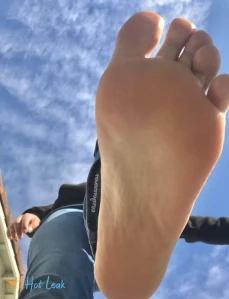 2853319