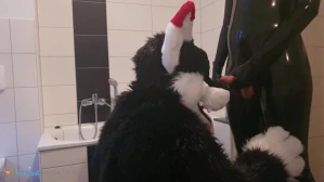 4579622