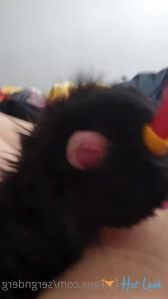 10596033