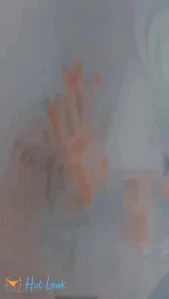 4580164