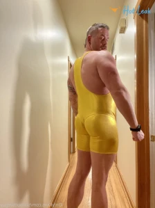 2733462
