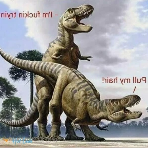 2701464