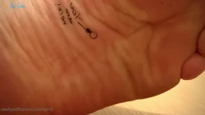 4588261