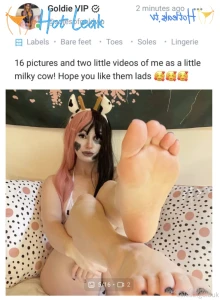11864117