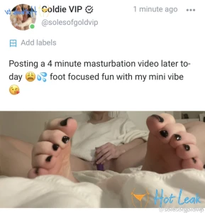 11864260
