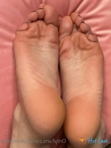 2827492