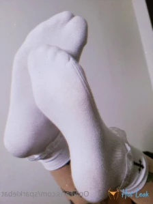 2697505
