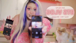 10962637
