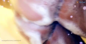 10594156