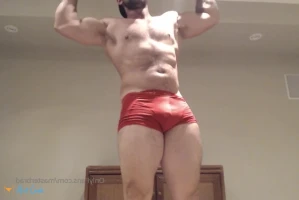 4593184