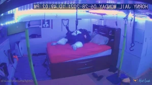 4593551