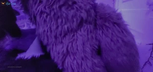 11120508