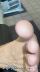 4595849