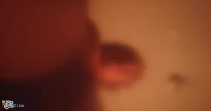 8800707