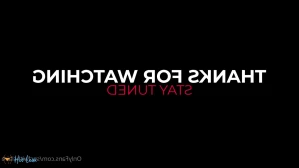 10593659