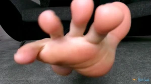 4596393