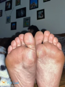 2738117