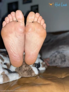 2738216