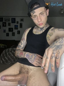 2738338