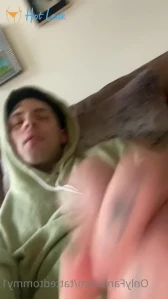 4598238
