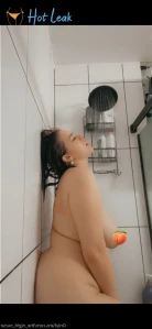 2648217