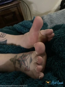2647213