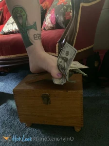 2647262