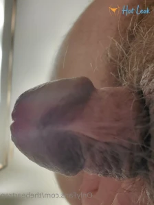 2646739