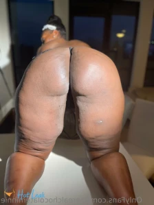 10944843