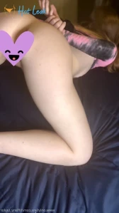 2651559