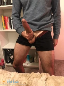 9334499