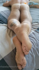 2613612