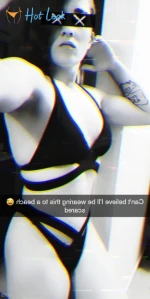 2646531