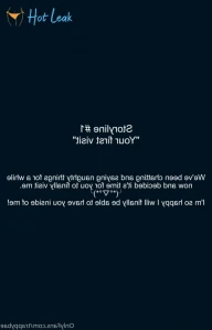 2623866