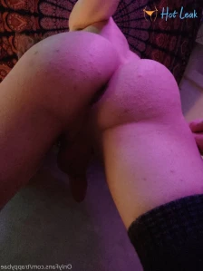 2623882