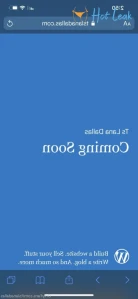 2607306