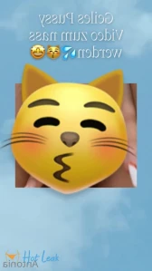 4943831
