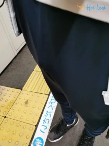 2645441