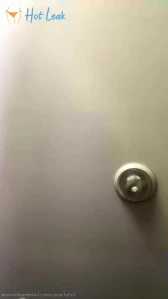 7772978