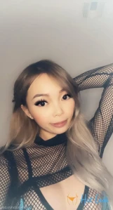 2596617