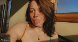 2628831
