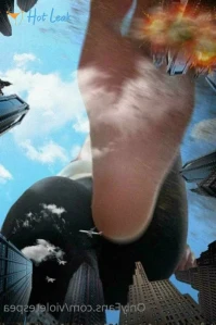 2601837